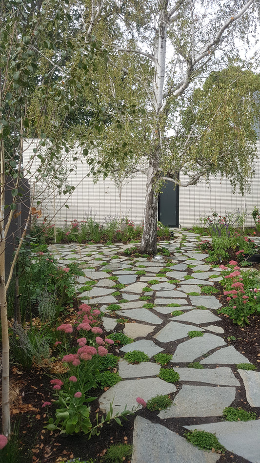 5 best ways to grow plants