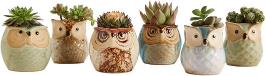 Sun-E 6 in Set Owl Pot Ceramic Flowing Glaze