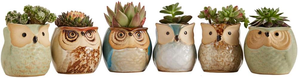 Sun-E 6 in Set Owl Pot Ceramic Flowing Glaze