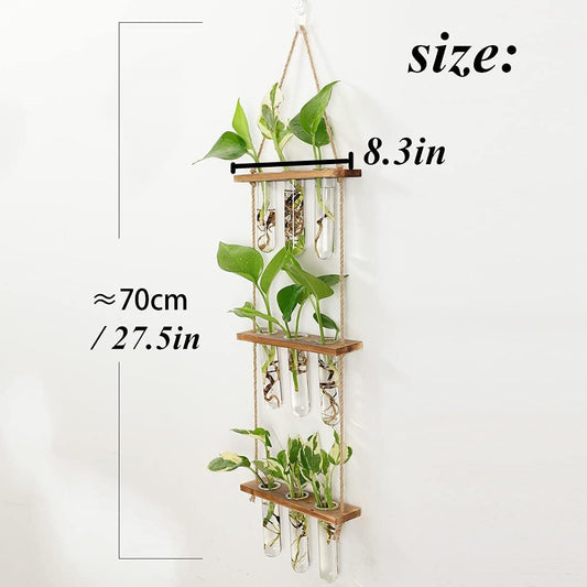Maghat Wall Hanging Planter Terrarium with Wooden Stand