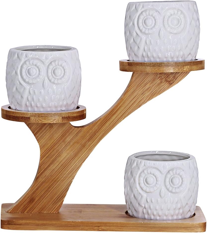3pcs Owl Succulent Pots with 3 Tier