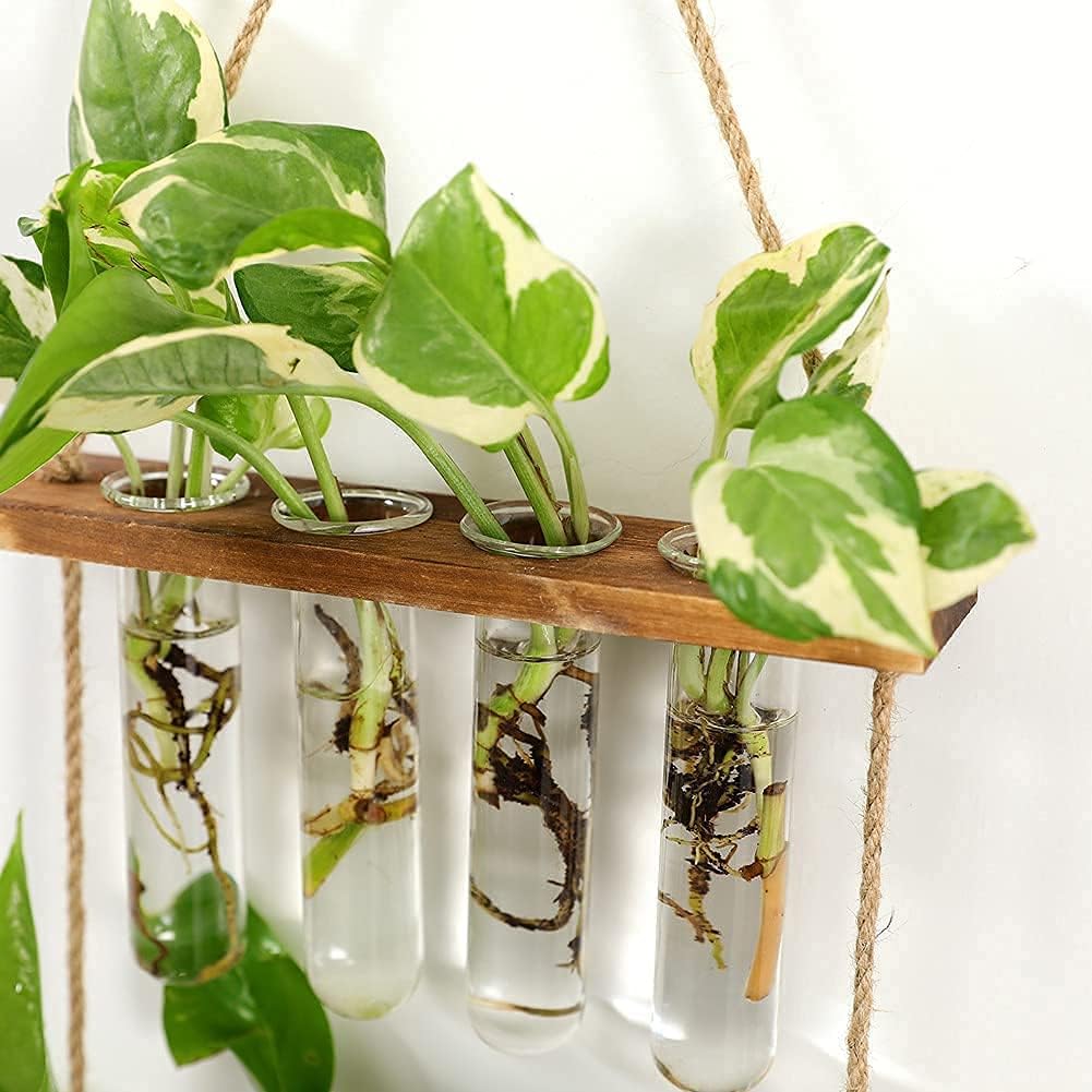 Maghat Wall Hanging Planter Terrarium with Wooden Stand