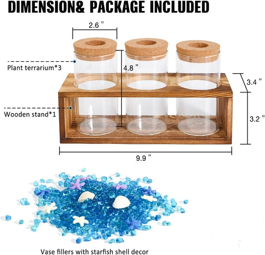 Neaglory Propagation Stations Planter Plant