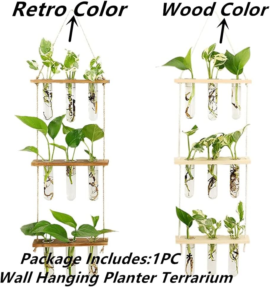 Maghat Wall Hanging Planter Terrarium with Wooden Stand