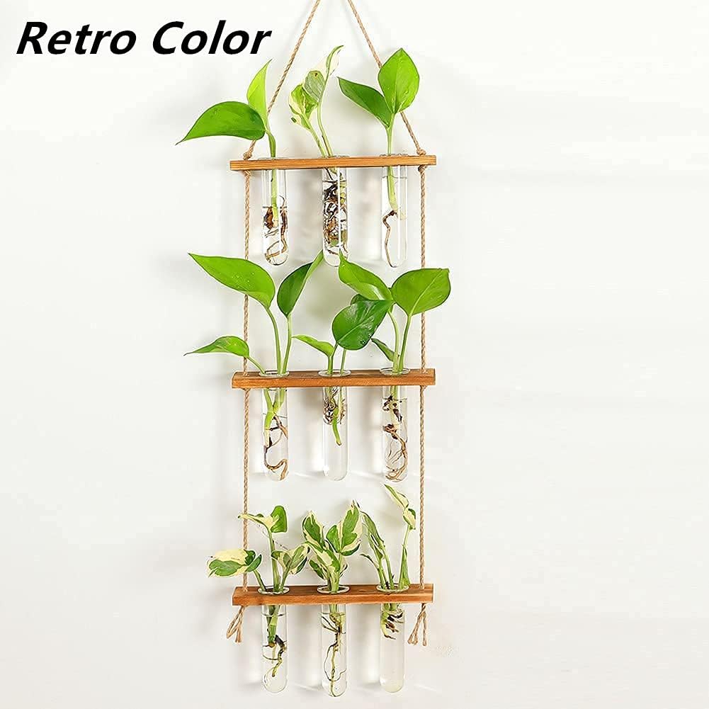 Maghat Wall Hanging Planter Terrarium with Wooden Stand
