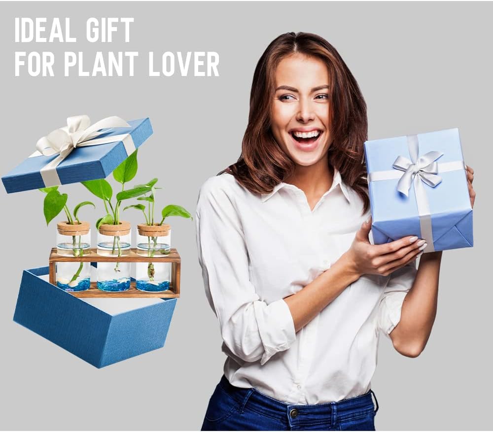 Neaglory Propagation Stations Planter Plant
