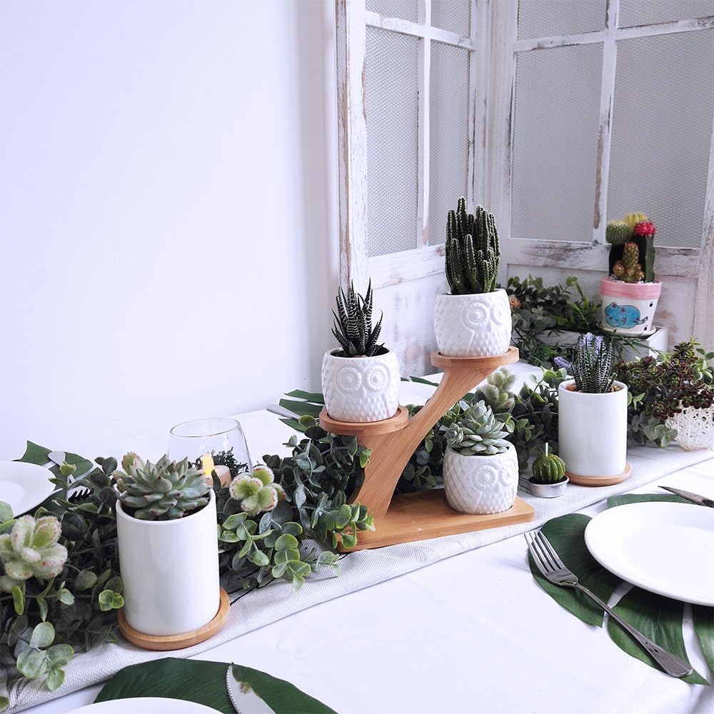 3pcs Owl Succulent Pots with 3 Tier