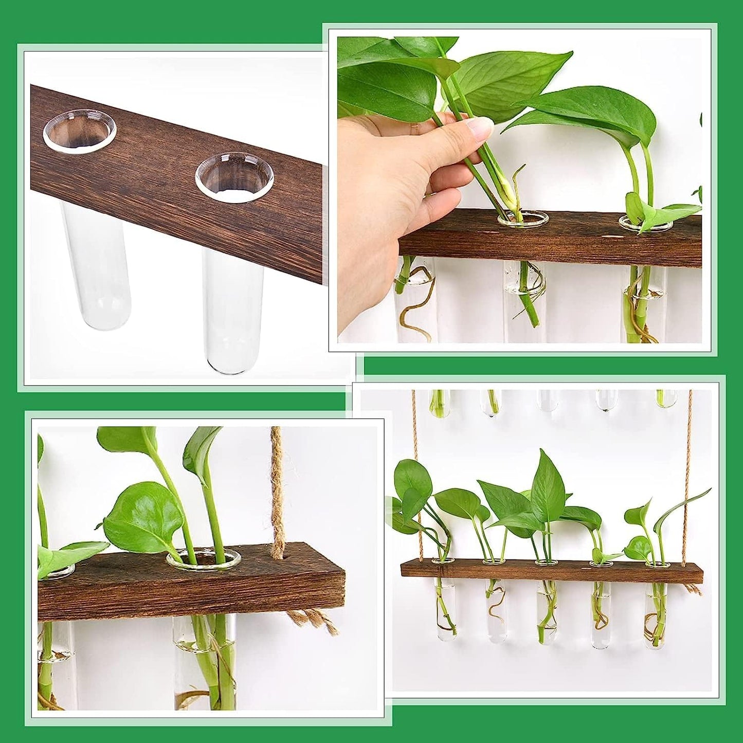 Lovewee Propagation Station, Wall Hanging Planter