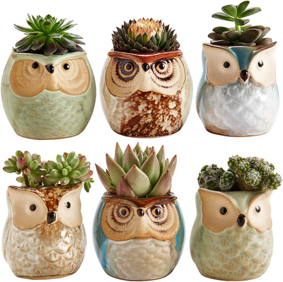 Sun-E 6 in Set Owl Pot Ceramic Flowing Glaze