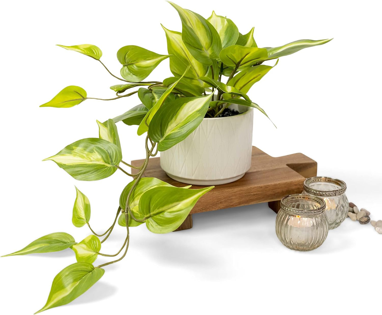 Kurrajong Farmhouse Artificial Plant