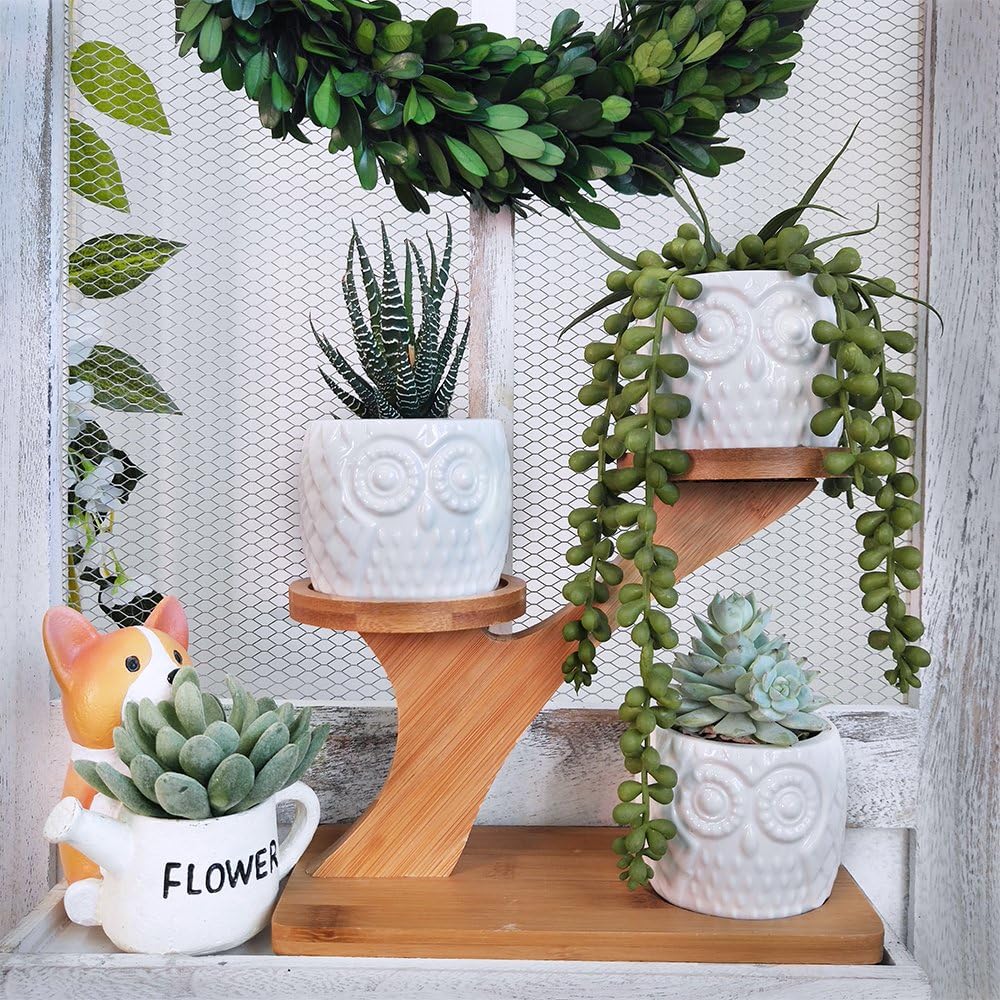 3pcs Owl Succulent Pots with 3 Tier
