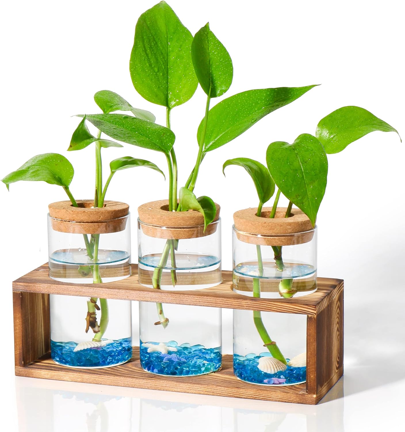 Neaglory Propagation Stations Planter Plant