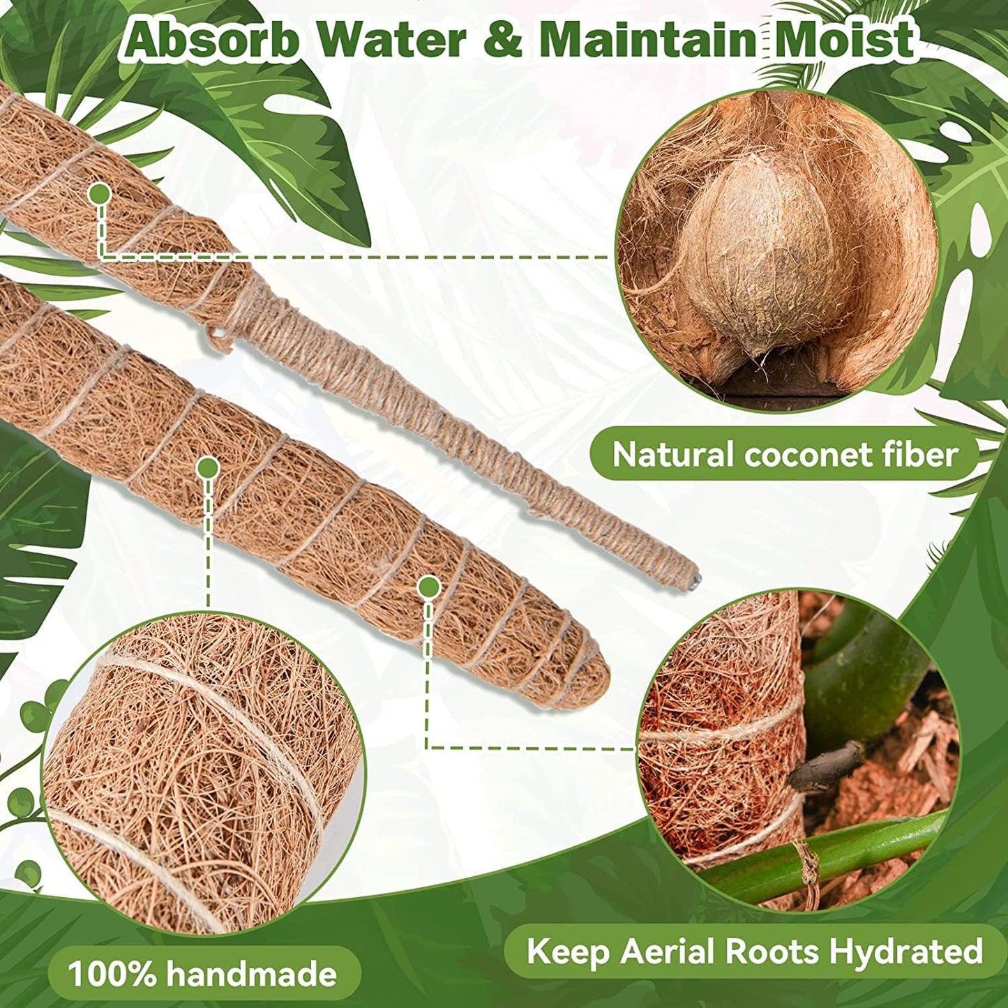 Moss Pole for Plants Monstera