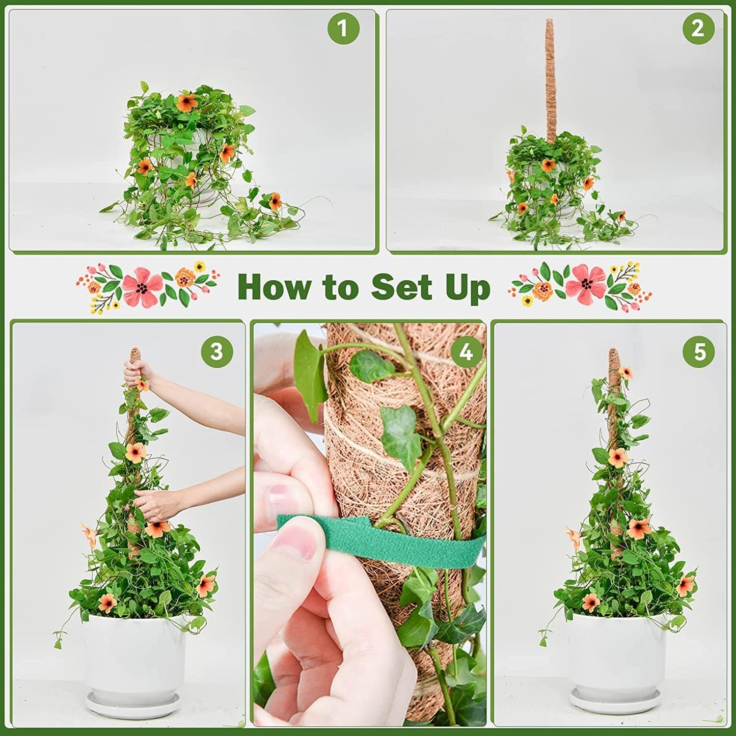 Moss Pole for Plants Monstera