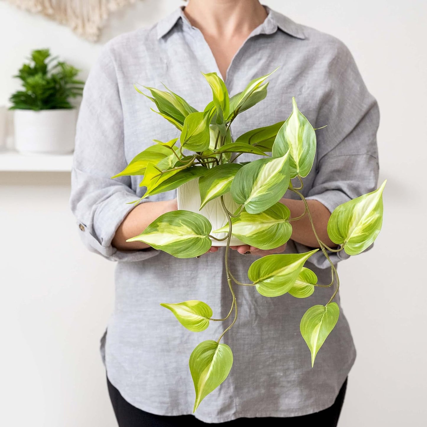 Kurrajong Farmhouse Artificial Plant