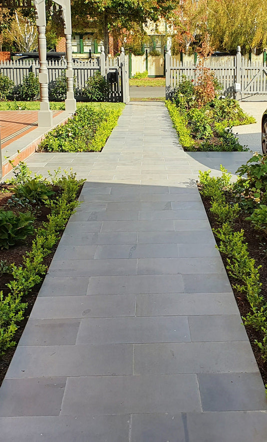 Box Hedge Planting Package -  Buxus microphylla Japonica