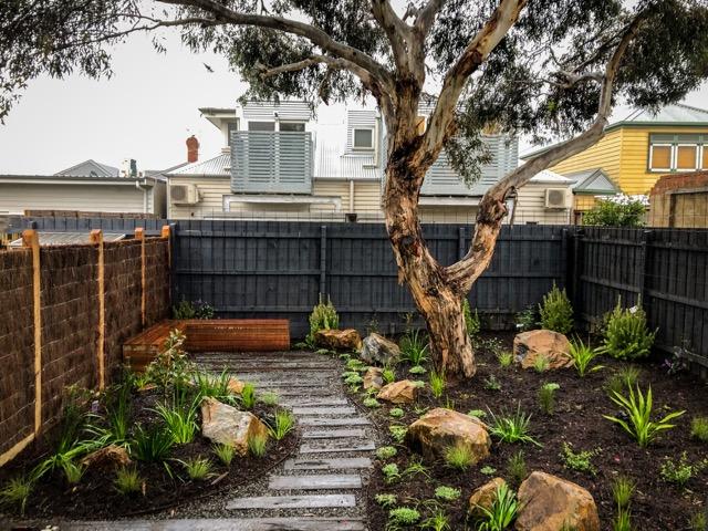 Australian Native plant Package