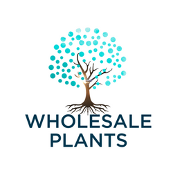 Discover and Buy Plants Online with Wholesale-Plants.com.au