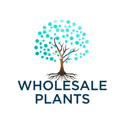 Discover and Buy Plants Online with Wholesale-Plants.com.au