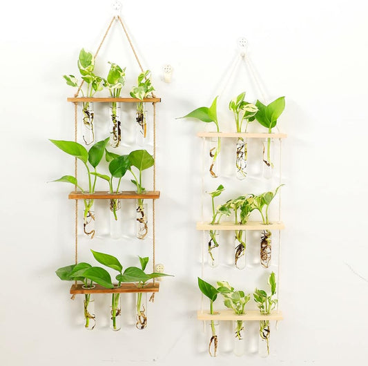 Maghat Wall Hanging Planter Terrarium with Wooden Stand