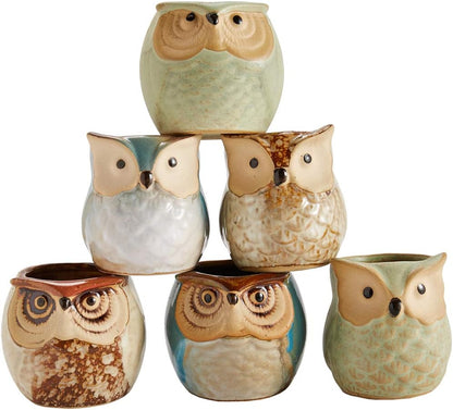 Sun-E 6 in Set Owl Pot Ceramic Flowing Glaze