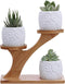 3pcs Owl Succulent Pots with 3 Tier