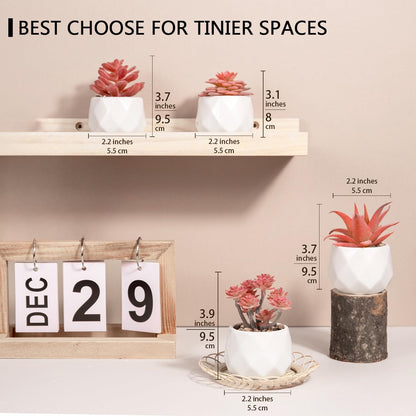 Viverie Pink Indoor Fake Plants