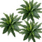 Avoik Artificial Ferns for Outdoors 3 Bundles