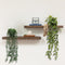 Artigreen 3 Pcs Artificial Hanging Plants