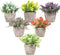 Artigreen 6 Pack Mini Artificial Plants