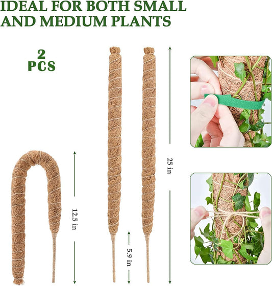 Moss Pole for Plants Monstera