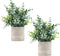 Coferset 2 Pack Small Fake Plants