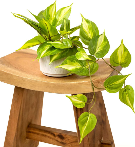 Kurrajong Farmhouse Artificial Plant