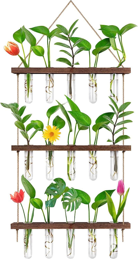 Lovewee Propagation Station, Wall Hanging Planter
