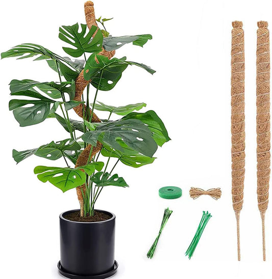 Moss Pole for Plants Monstera