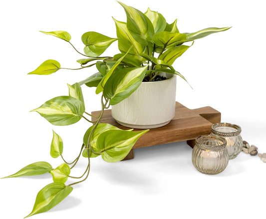 Kurrajong Farmhouse Artificial Plant