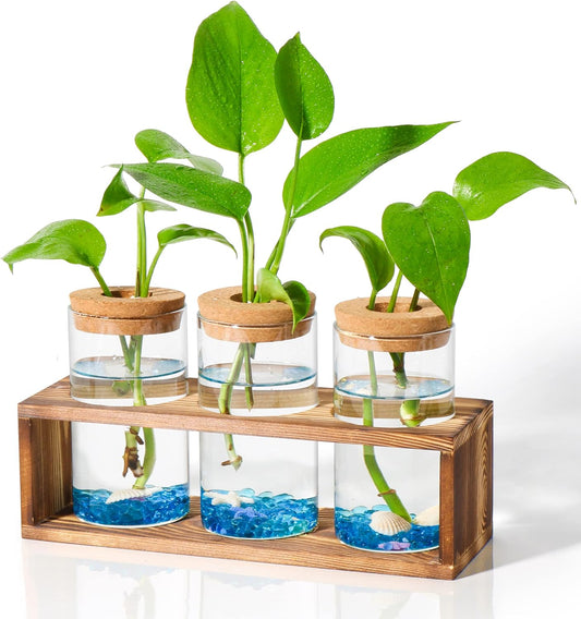 Neaglory Propagation Stations Planter Plant