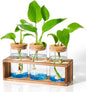 Neaglory Propagation Stations Planter Plant