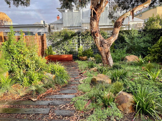 Australian Native plant Package